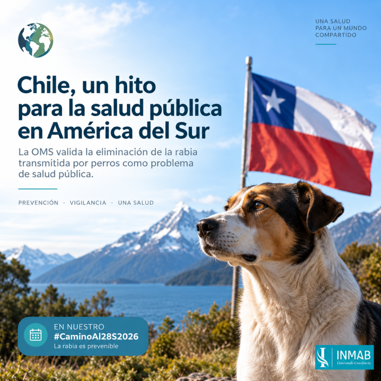 Chile elimina la rabia transmitida por perros | INMAB Chile, primer país de Sudamérica validado por la OMS por eliminar la rabia transmitida por perros como problema de salud pública.