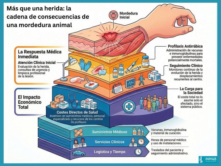 Infografía de la cadena de consecuencias de una mordedura animal: atención médica, profilaxis, seguimiento y coste para el sistema de salud