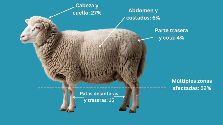 Gráfico de barras que muestra los meses con más mordeduras de serpiente según la intensidad de las lluvias en Zamora Chinchipe