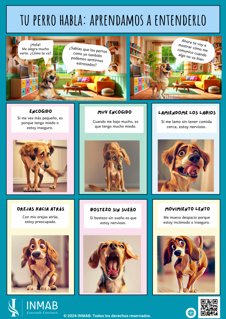 Historieta para conocer las diferentes posturas a través de las cuales los perros nos informan de sus estados emocionales. Una guía educativa para conocer sus diferentes señales de calma con las que nos expresan sus estados emocionales de estrés y miedo.