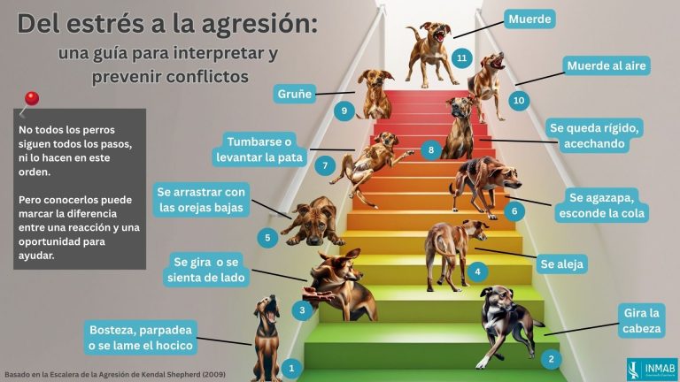 Guía visual de INMAB sobre la Escalera de la Agresión canina: señales de estrés y agresión en perros según Kendal Shepherd.