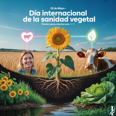 Día Internacional de la Sanidad Vegetal – Plantas sanas, planeta sano Ilustración sobre sanidad vegetal: planta con raíces visibles conecta salud humana, animal y ambiental en un paisaje agrícola sostenible.