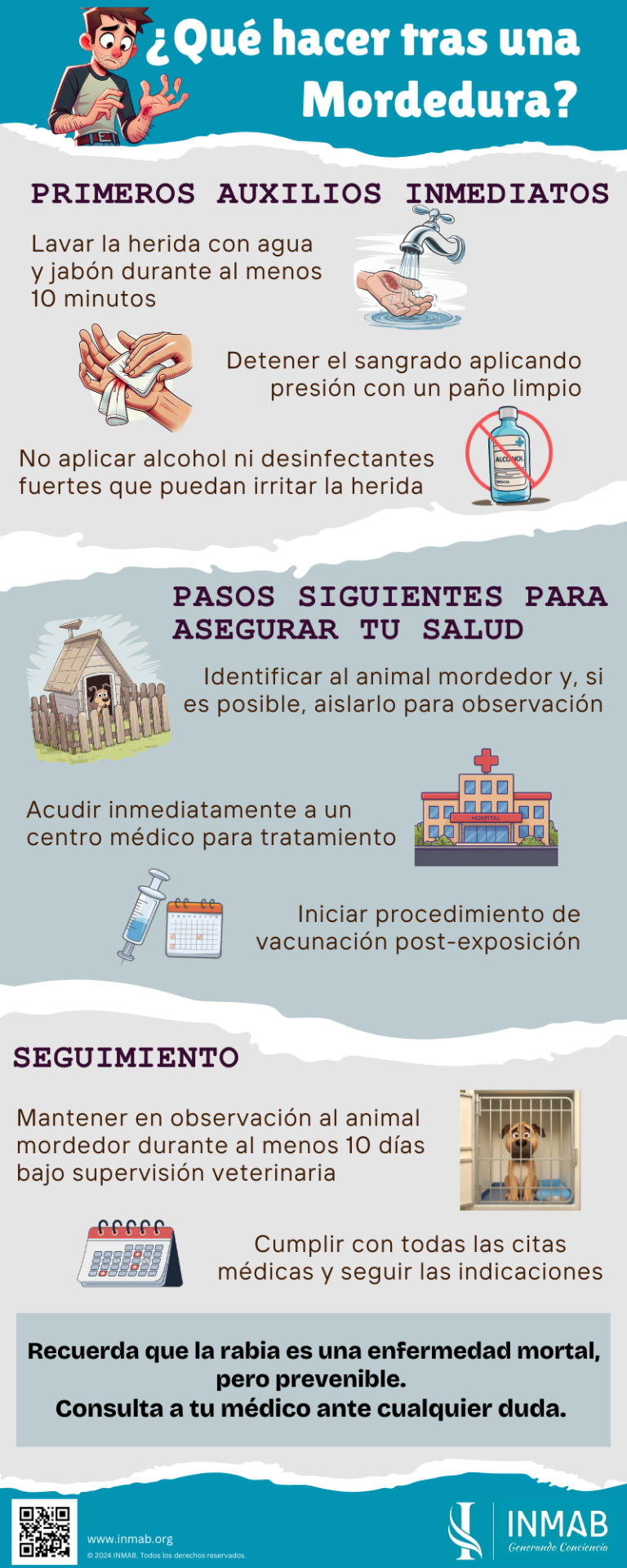 Infografía con el protocolo de actuación, primeros auxilios y pasos esenciales para actuar tras una mordedura de animal