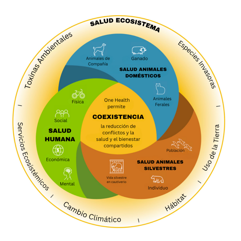 Diagrama de One Health con salud humana, animal y ecosistémica integradas para promover la coexistencia y reducir conflictos.