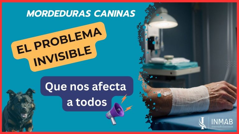 Las mordeduras de perros tienen un impacto en la salud y la sociedad. Descubre sus repercusiones en este video educativo de INMAB