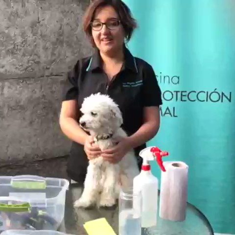 Margarita Adasme, veterinaria especializada en bienestar animal, etología y tenencia responsable