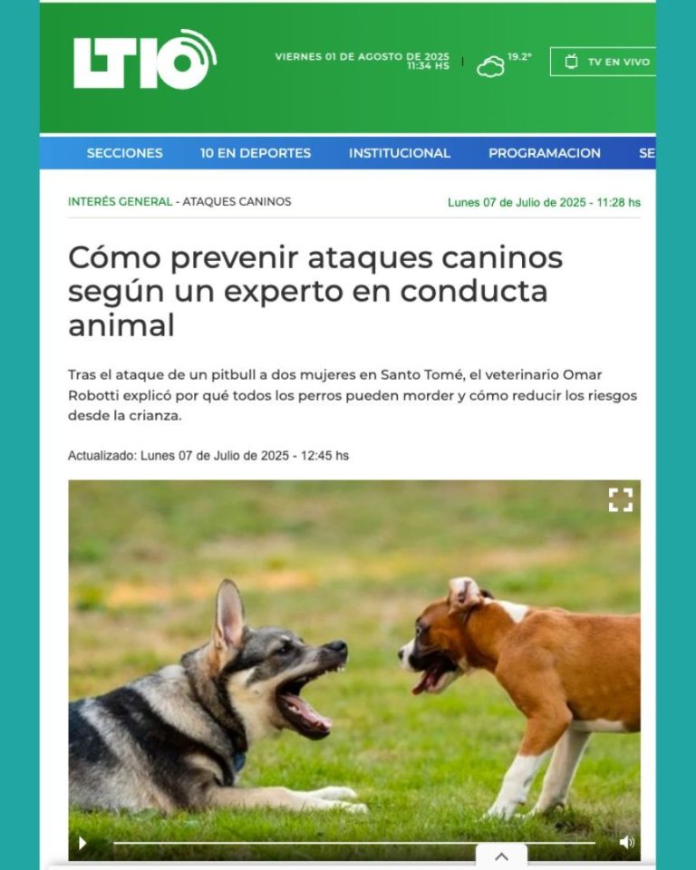 Afiche del webinar Una Salud en acción: hablemos de zoonosis y rabia, organizado por la Secretaría de Salud de Quito