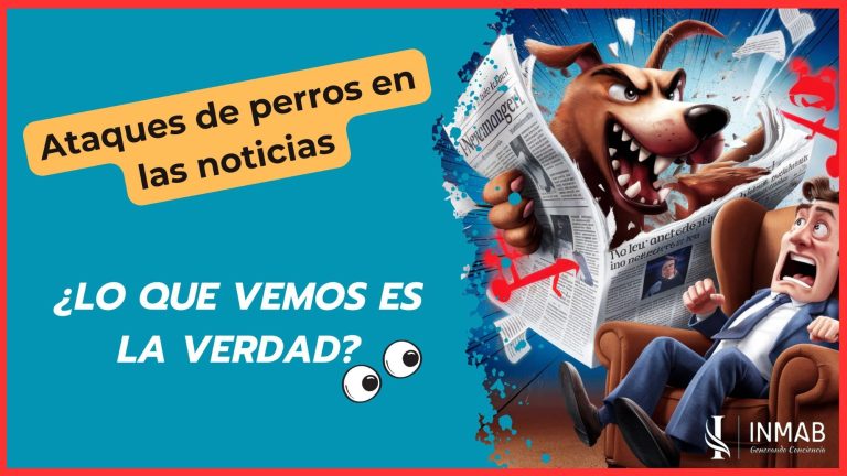 Video 'Medios de comunicación y agresiones caninas' de INMAB, que analiza cómo los medios influyen en la percepción de estos incidentes