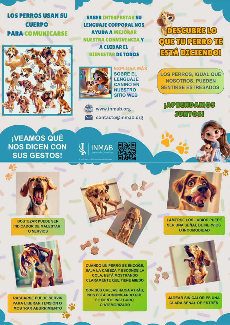 Tríptico educativo sobre el lenguaje corporal de los perros y sus diferentes señales de miedo y calma. Este recurso informativo explica cómo los perros utilizan su cuerpo para comunicarse, mostrando señales como el bostezar, lamerse los labios o encogerse. Disponible en español, catalán e inglés, este tríptico está diseñado para mejorar la comprensión del comportamiento canino y promover una convivencia armoniosa entre personas y perros.