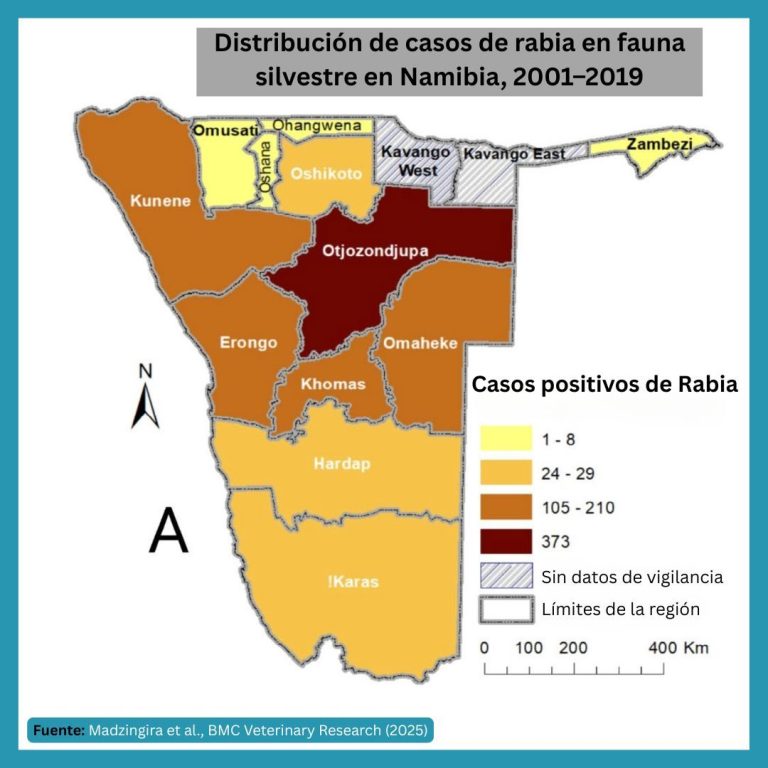 Mapa de Namibia que muestra la distribución de casos de rabia en fauna silvestre entre 2001 y 2019, con énfasis en Otjozondjupa