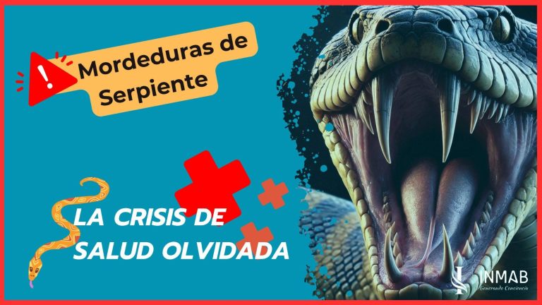 Mordeduras de serpiente y su impacto en la salud global. Una crisis olvidada de elevada mortalidad a la que INMAB da voz: Objetivo 2030