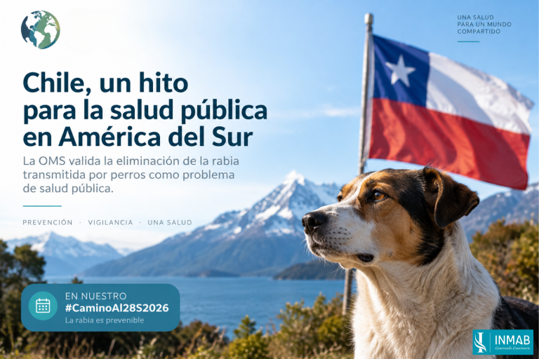 Chile elimina la rabia transmitida por perros | INMAB Chile, primer país de Sudamérica validado por la OMS por eliminar la rabia transmitida por perros como problema de salud pública.