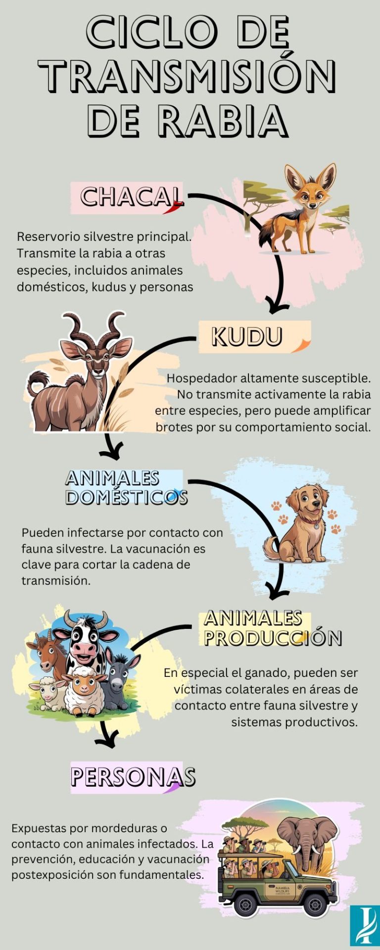 Infografía del ciclo de transmisión de la rabia en Namibia, con chacal como reservorio y kudus, humanos y animales como eslabones expuestos