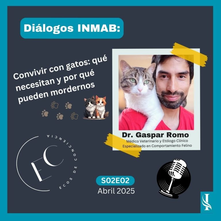 Conversamos sobre el comportamiento felino, prevención de mordeduras y la importancia de entender y respetar las necesidades de los gatos.