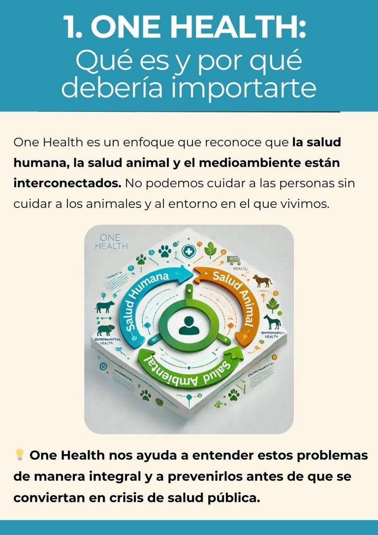Infografía que explica el concepto One Health, mostrando la interconexión entre salud humana, salud animal y salud ambiental