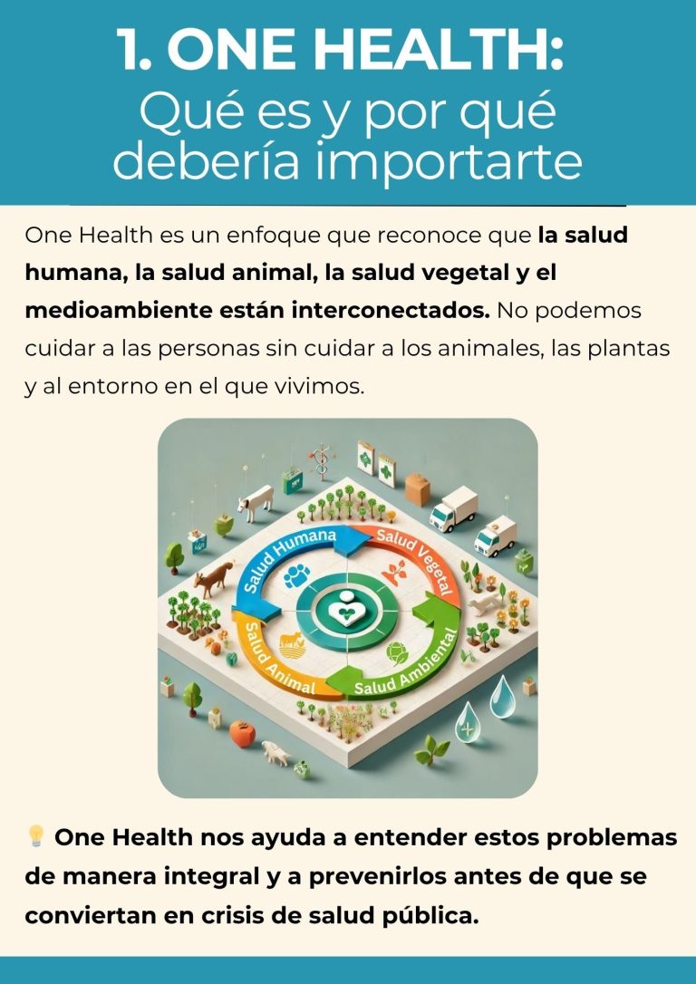 Infografía que explica el concepto One Health, mostrando la interconexión entre salud humana, salud animal y salud ambiental