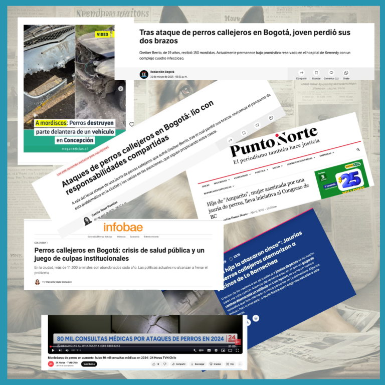 Collage con titulares reales que reflejan ataques de perros, percepción de descontrol y debate sobre responsabilidades compartidas.