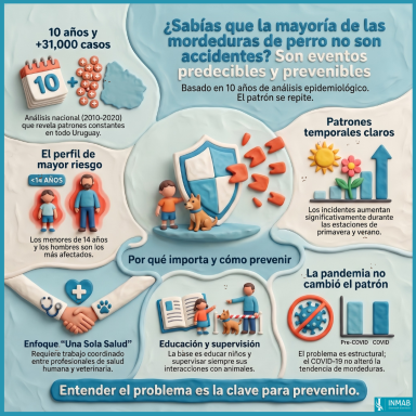 Infografía sobre la epidemiología de las mordeduras de perro y la importancia de conocer sus patrones para prevenirlas.