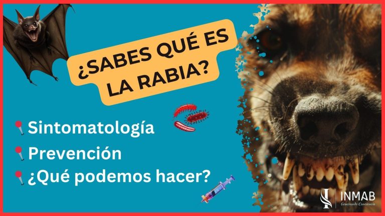 Conoce qué es la rabia, cuáles son sus síntomas y signos clínicos y cómo prevenirla para llegar al objetivo Rabia Cero en 2030