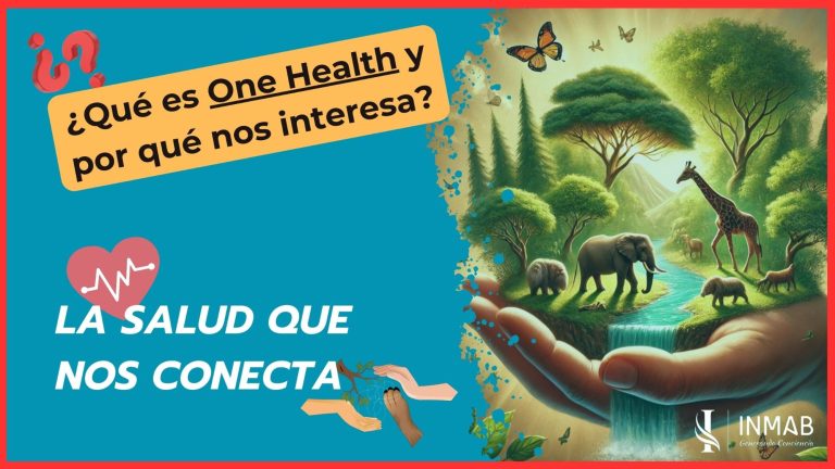Miniatura de INMAB del video sobre One Health, mostrando la interconexión entre la salud humana, animal y ambiental