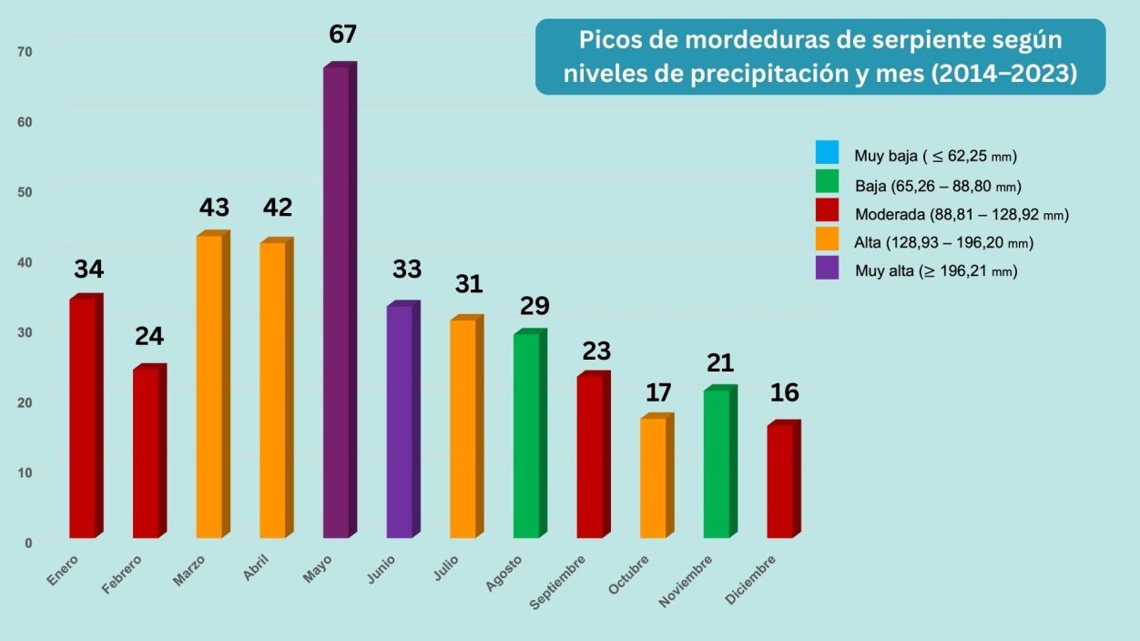Gráfico de barras que muestra los meses con más mordeduras de serpiente según la intensidad de las lluvias en Zamora Chinchipe