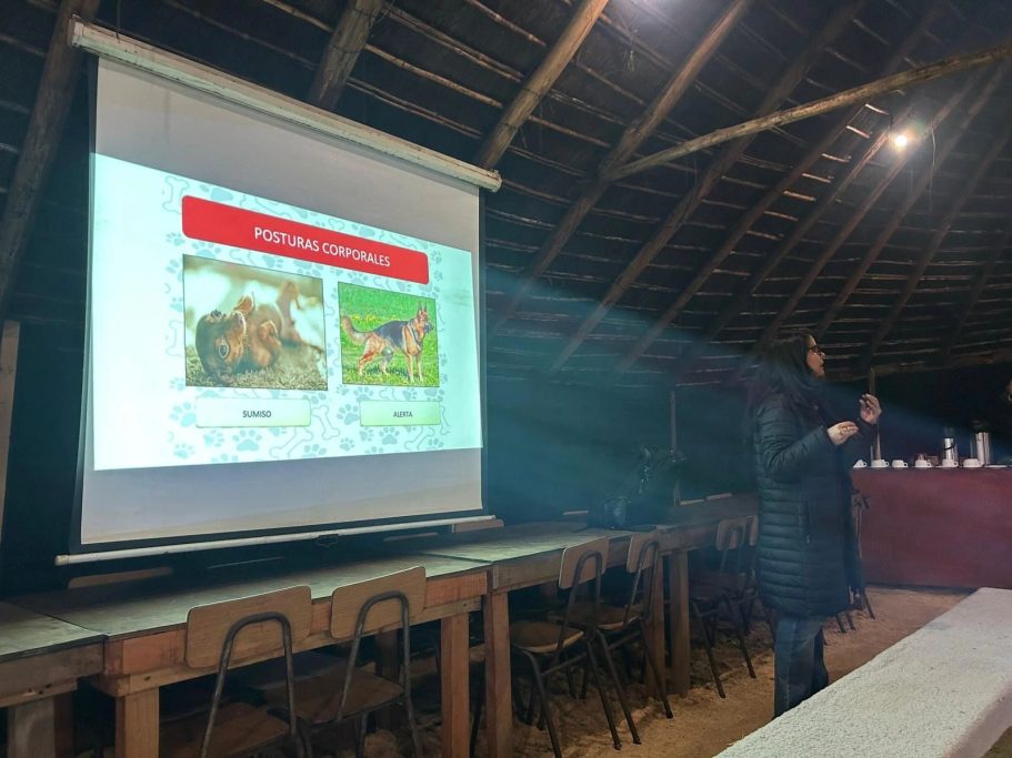 Tipos de conflicto en la convivencia humano-fauna según el enfoque One Health Esquema de conflictos directos, indirectos y sociales derivados de la convivencia entre humanos y fauna silvestre o doméstica.