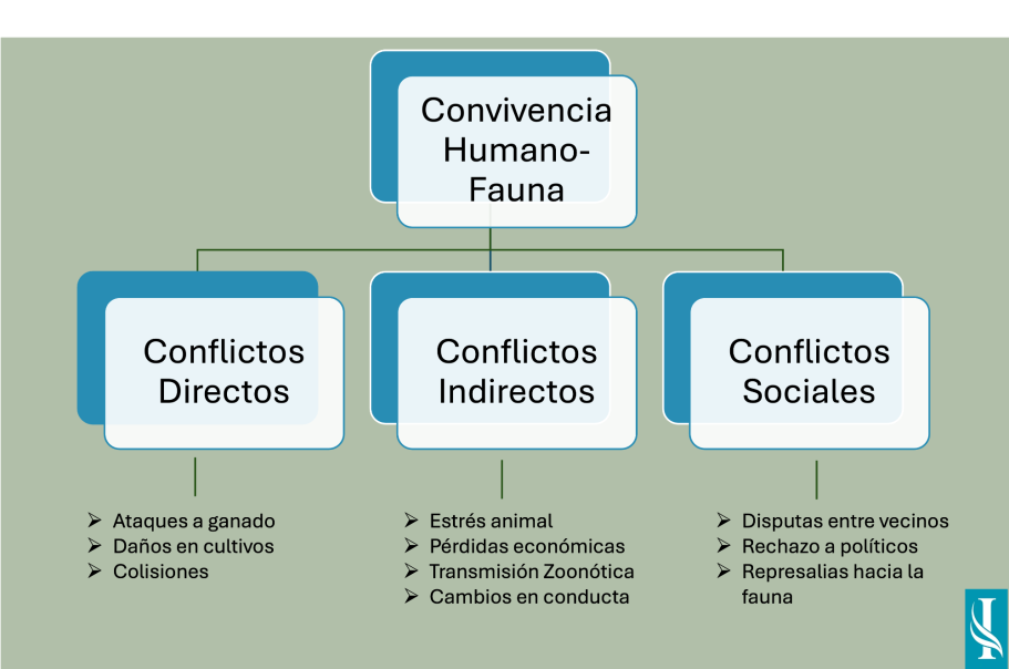 Esquema de conflictos directos, indirectos y sociales derivados de la convivencia entre humanos y fauna silvestre o doméstica.