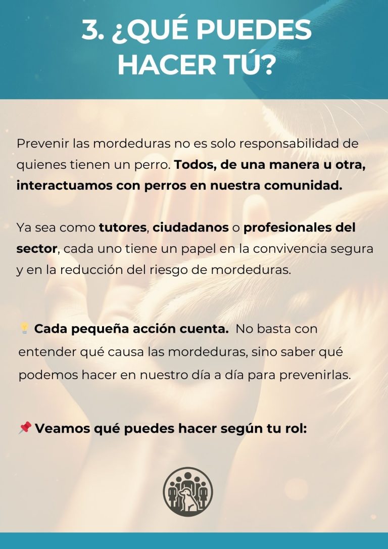 Imagen que explica cómo ciudadanos, profesionales e instituciones pueden actuar para prevenir mordeduras y promover una convivencia segura