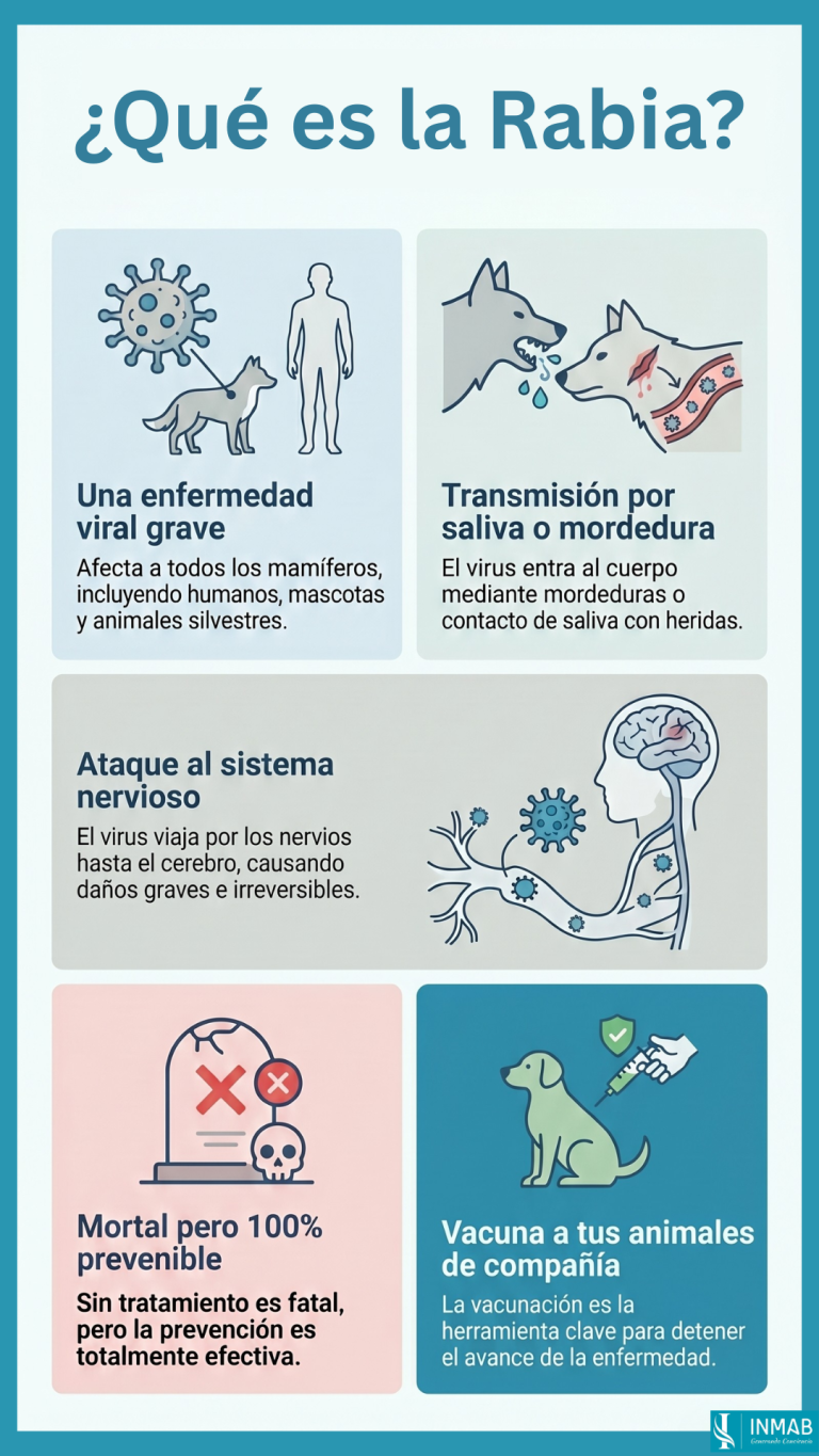 La rabia es una enfermedad viral mortal que afecta al sistema nervioso y se transmite por mordeduras. Es prevenible.