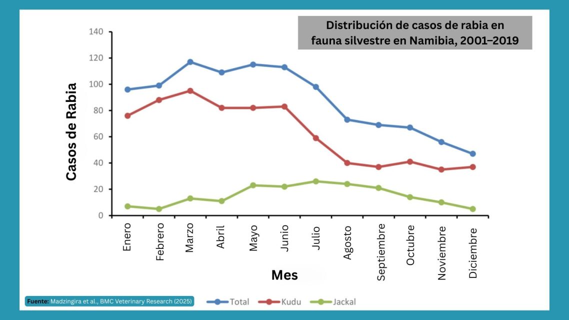 Gráfico mensual de casos de rabia en kudus y chacales en Namibia (2001–2019), que muestra diferencias en la estacionalidad por especie