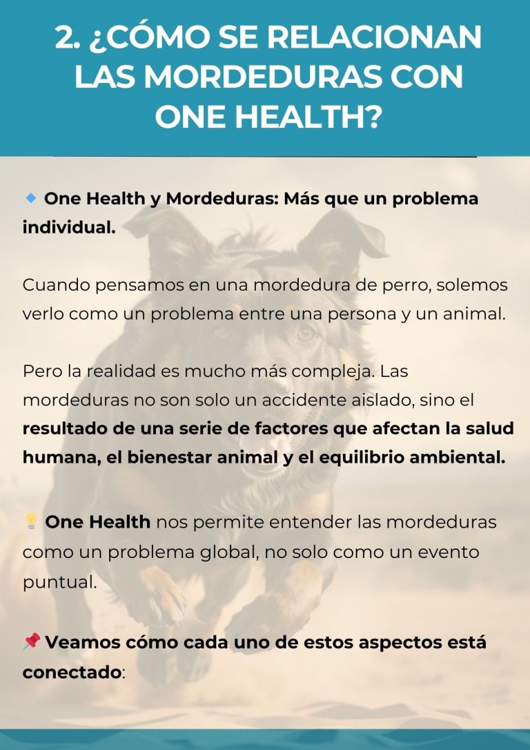 Apartado del toolkit en que se detalla la relación de One Health y las mordeduras y qué podemos hacer para prevenirlas
