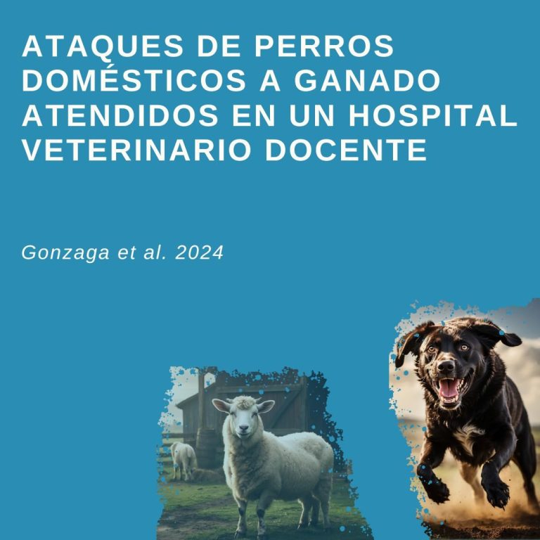 Ataques de perros a ganado – artículo científico con imagen de oveja y perro ilustrando la problemática rural